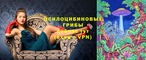 тгк Балахна