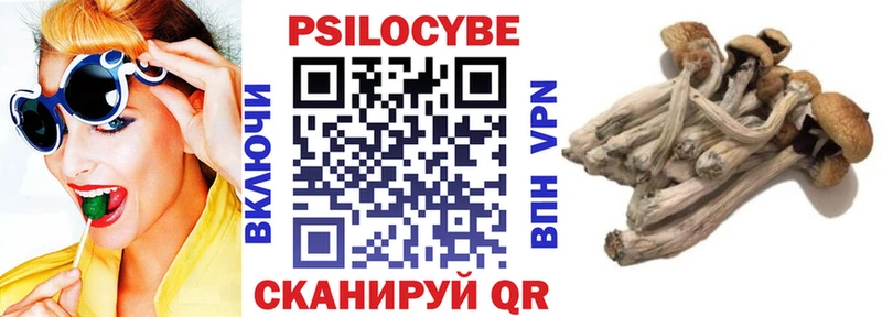 Псилоцибиновые грибы Psilocybe  гидра ссылки  Дальнегорск 