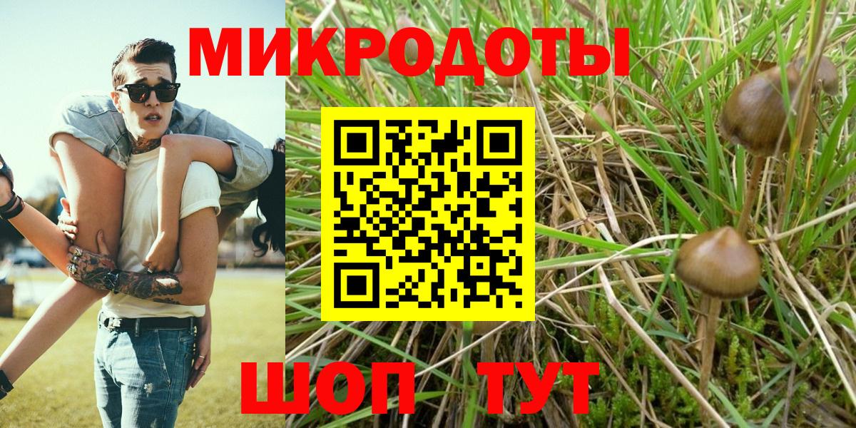 Псилоцибиновые грибы MAGIC MUSHROOMS Дальнегорск