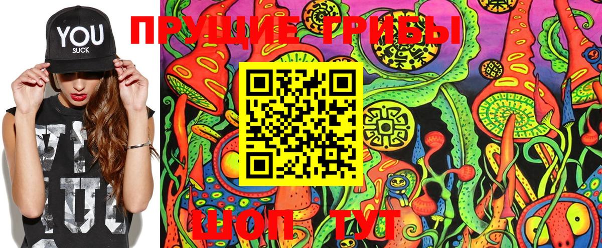 Псилоцибиновые грибы ЛСД  Псилоцибиновые грибы Magic Shrooms  Вход с VPN  Дальнегорск 